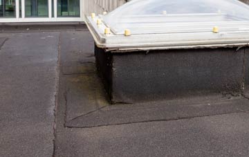 disadvantages of Needham Street flat roofs