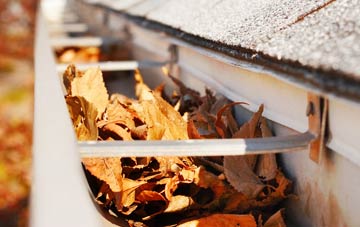 Needham Street gutter cleaning companies