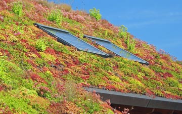 Needham Street living roof systems